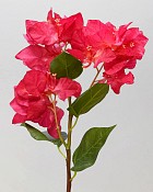 Bougainvillea 19" Red