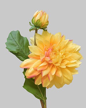 Dahlia 20" Gold/Red