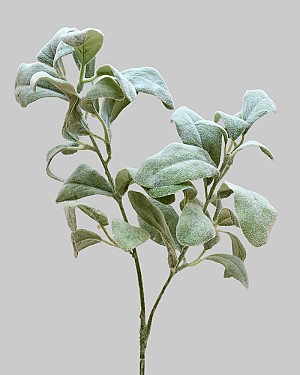 Lambs Ear 27" Green
