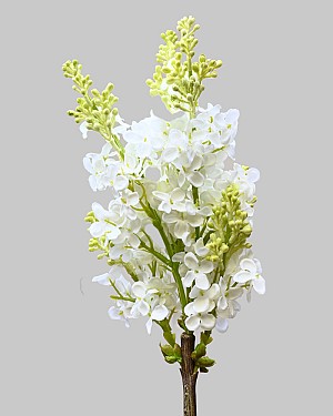 Lilac 32.5" White