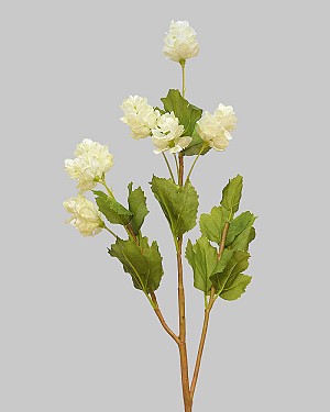 Hops 26.5" White