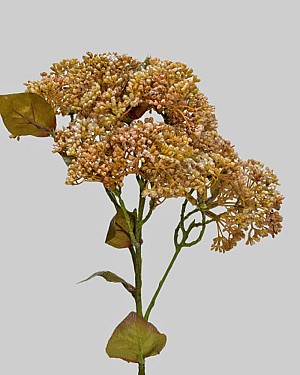 Sedum Spray 22" Golden