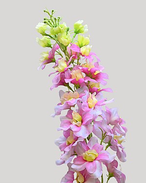 Delphinium 42.75" Lavender