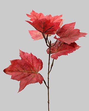 Maple Leaf Pick 14" Red