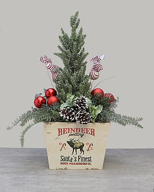 Reindeer Christmas Magic