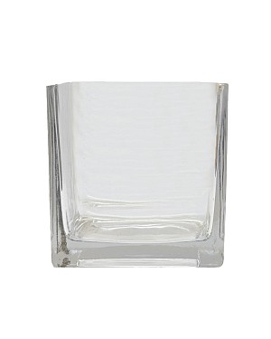 Square Clear Glass Vase 5"H (5"x5")