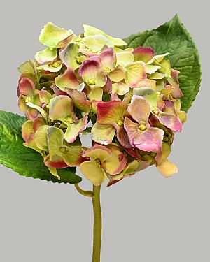 Hydrangea 18" (4" Bloom) Green/Purple