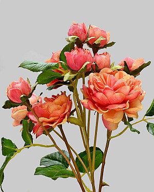 Rose English Spray 20" Peach/Red