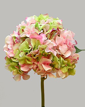 Hydrangea 18" (7" Bloom) Pink/Green
