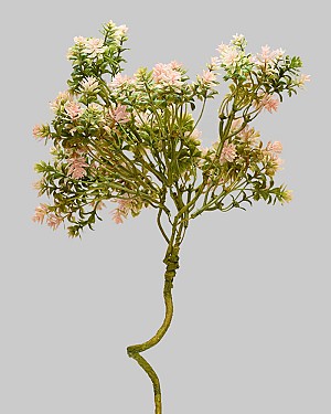 Sedum Spray 18" Pink