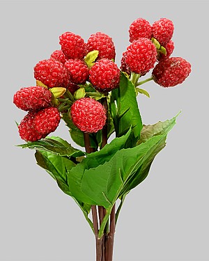 Raspberry Bundle 12" Red