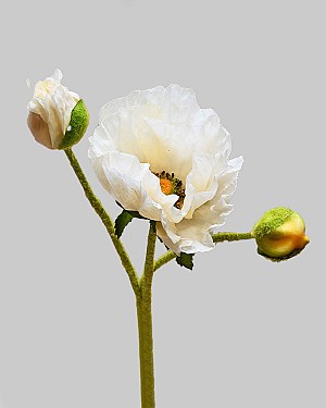 Poppy 22.5" Beige