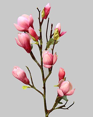 Tree Magnolia 32" Fuchsia