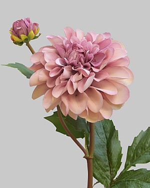Dahlia 25" Deep Lavender