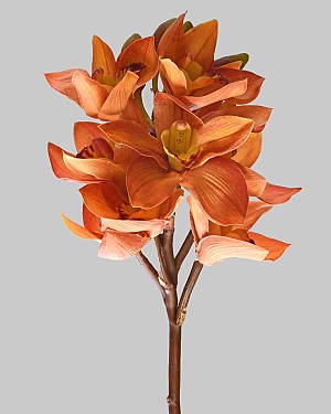 Cymbidium Orchid 19" Orange