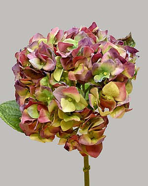 Hydrangea 18" (7" Bloom) Purple/Green