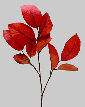 Mulberry Leaf Spray 27" Burgundy