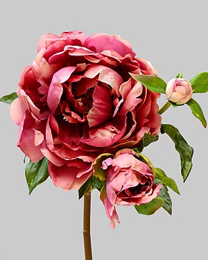 Peony 29" Fuchsia