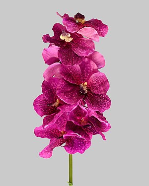 Vanda Orchid 36.5" Fuchsia/Purple