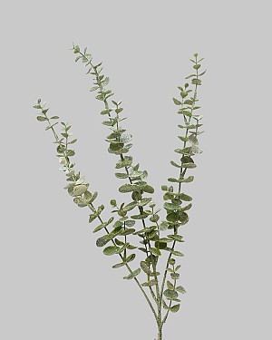 Iced Eucalyptus Green/White 31.5"