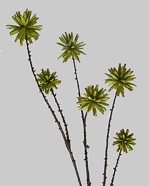 Tree Pod Spray 31" Green