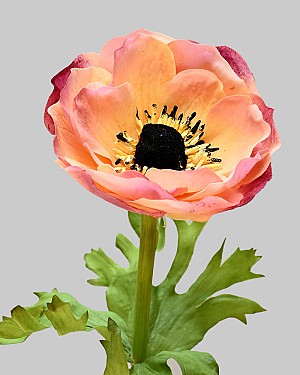 Anemone 17.5" Cream/Mauve