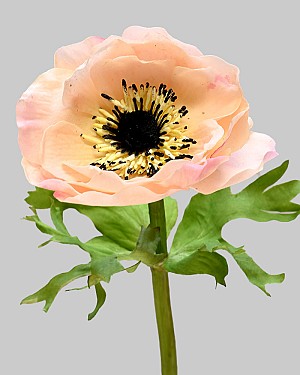 Anemone 17.5" Peach