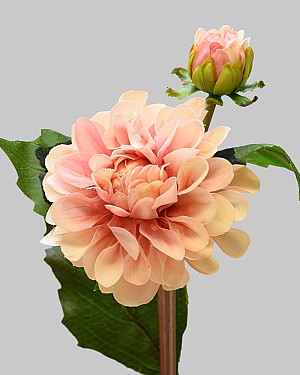Dahlia 19.5" Light Mauve