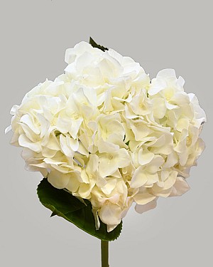 Hydrangea 18" (7" Bloom) White