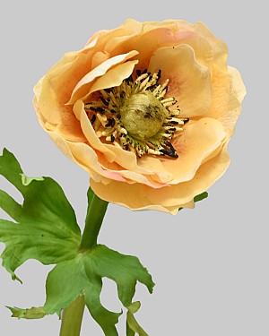 Anemone 17.5" Yellow