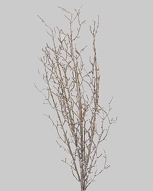 Glittered Twig Spray 34" Brown