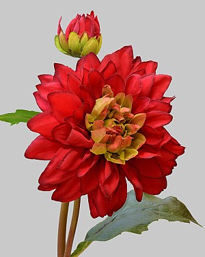 Dahlia 20" Red