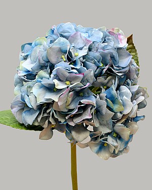 Hydrangea 18" (4" Bloom) Light Blue