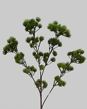 Ming Pine Spray 26" Green