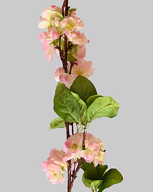 Cherry Blossom 50" Pink