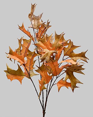 Holly Leaf Spray 32.25" Brown/Orange