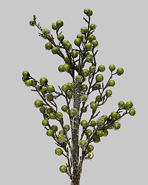 Iced Berry Branch 22" Green