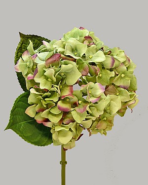 Hydrangea 18" (7" Bloom) Green/Purple