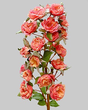Rose Minnie 18.5" Peach/Red