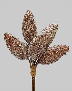 Frosted Pinecone Bundle 8.5" Brown