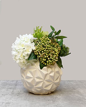 Green Joy Bundle - Large 