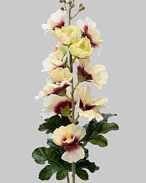Hollyhock 36" White/Mauve