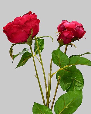 Rose Spray 24" Red