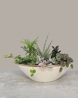 Verdant Balance