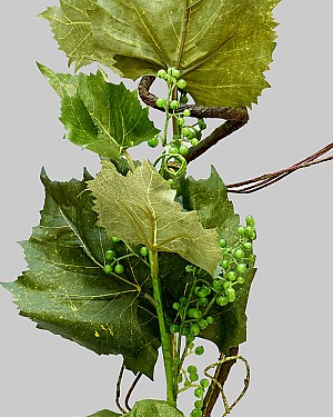Spring Vineyard Branch 32" Green