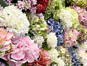 Artificial Stems