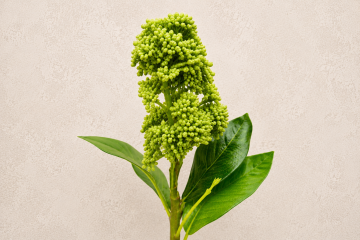 Artificial Greenery