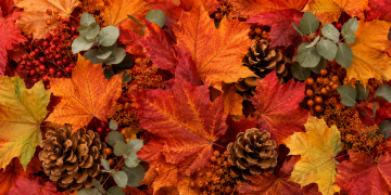 Fall