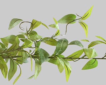 Green Leaf Branch