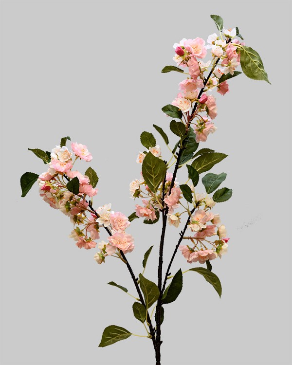 Blossom Branches 